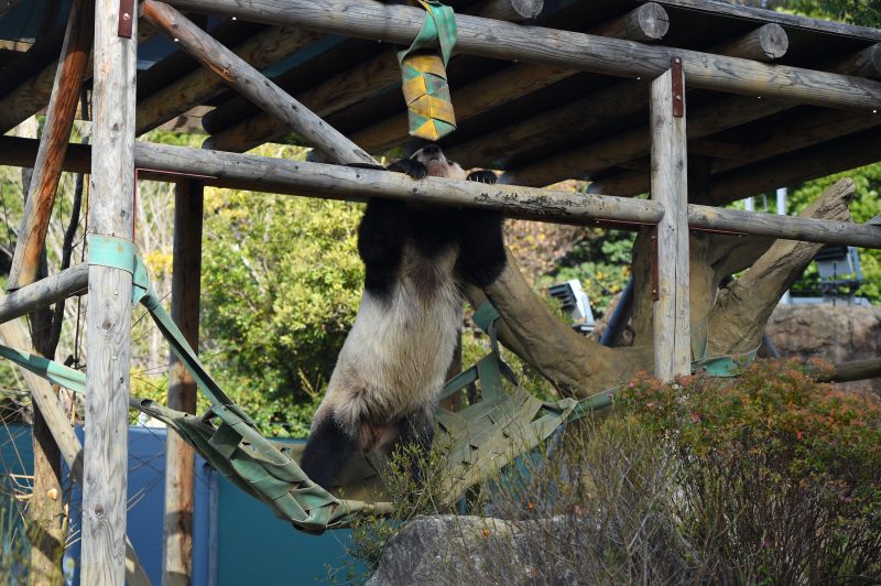 飼育環境の充実（環境エンリッチメント）